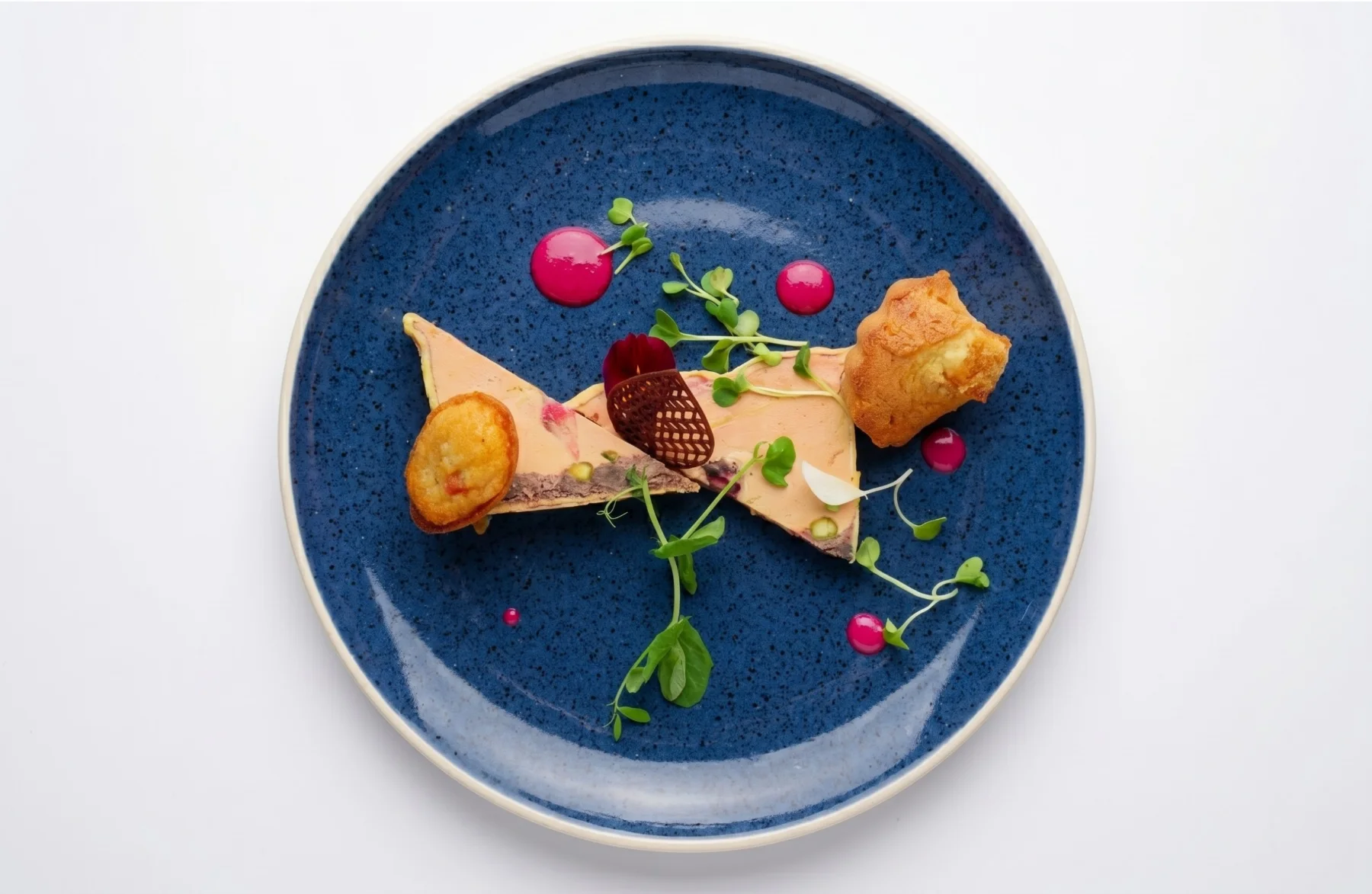 Wellington — L'Oxalis